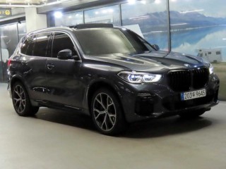 BMW X5 X5 (G05) xDrive 45e M 스포츠