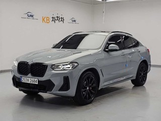 BMW X4 X4 (G02) xDrive 20i M 스포츠 프로