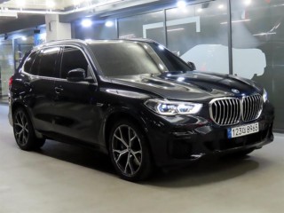BMW X5 X5 (G05) xDrive 45e M 스포츠