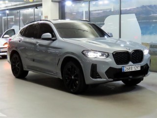 BMW X4 X4 (G02) xDrive 20i M 스포츠 프로