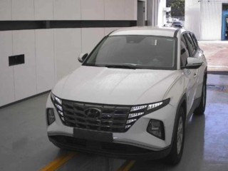 현대 투싼 투싼 (NX4) 가솔린 1.6 터보 2WD 모던