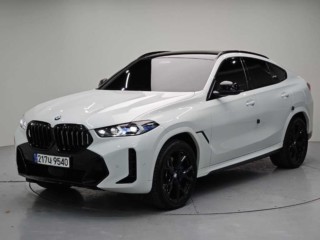 BMW X6 X6 (G06) xDrive 30d M 스포츠