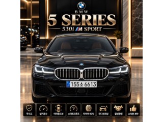 BMW 5시리즈 5시리즈 (G30) 530i M 스포츠