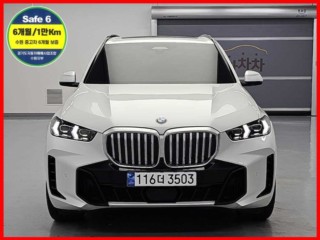 BMW X5 X5 (G05) xDrive 40i M 스포츠