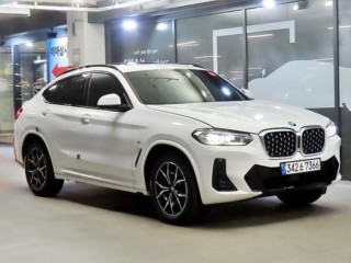 BMW X4 X4 (G02) xDrive 20i M 스포츠