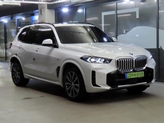 BMW X5 X5 (G05) xDrive 30d M 스포츠