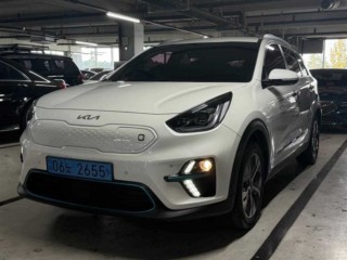 기아 니로 니로 EV 노블레스