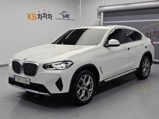 BMW X4 X4 (G02) xDrive 20i xLine