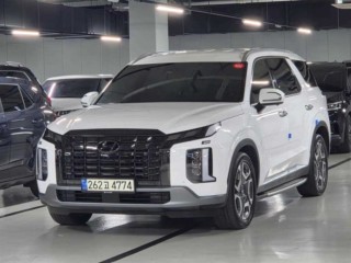 현대 팰리세이드 더 뉴 팰리세이드 디젤 2.2 4WD 르블랑