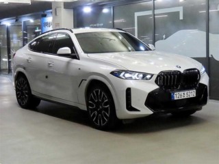 BMW X6 X6 (G06) xDrive 30d M 스포츠