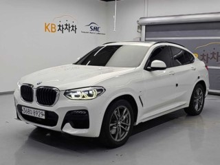 BMW X4 X4 (G02) xDrive 20d M 스포츠