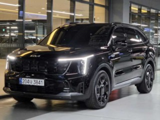 기아 쏘렌토 더 뉴 쏘렌토 4세대 디젤 2.2 4WD 시그니처 그래비티