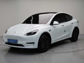 테슬라 모델 Y RWD