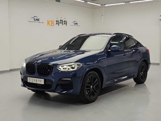 BMW X4 X4 (G02) xDrive 20d M 스포츠