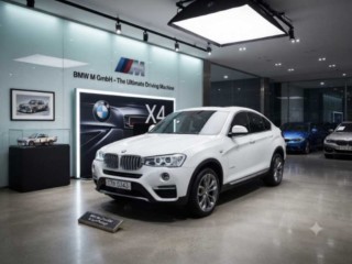 BMW X4 X4 (F26) xDrive 20d