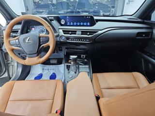 렉서스 UX UX 250h 2.0 2WD
