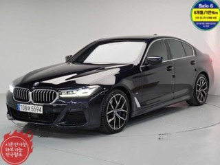 BMW 5시리즈 5시리즈 (G30) 530i M 스포츠