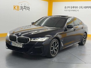 BMW 5시리즈 5시리즈 (G30) 530i M 스포츠