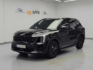 기아 쏘렌토 더 뉴 쏘렌토 4세대 하이브리드 1.6T 4WD 시그니처 그래비티