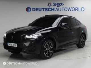BMW X4 X4 (G02) xDrive 20i M 스포츠