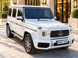 벤츠 G 클래스(G 바겐) G클래스 W463b AMG G63