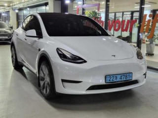테슬라 모델 Y RWD