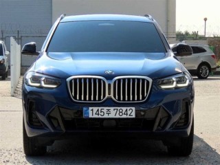 BMW X3 X3 (G01) xDrive 30e M 스포츠