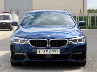 BMW 5시리즈 5시리즈 (G30) 530i M 스포츠 플러스