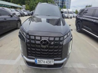 현대 팰리세이드 더 뉴 팰리세이드 디젤 2.2 4WD 르블랑