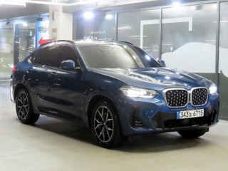 BMW X4 X4 (G02) xDrive 20d M 스포츠
