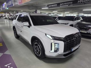 현대 팰리세이드 더 뉴 팰리세이드 디젤 2.2 2WD 익스클루시브