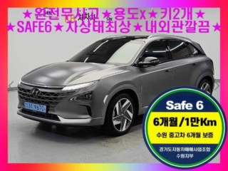 현대 넥쏘 프리미엄