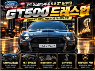 포드 머스탱 머스탱 6세대 5.0 GT 쿠페
