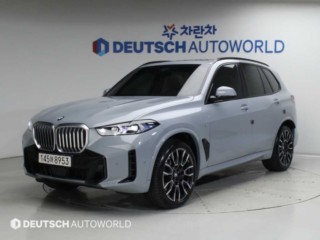 BMW X5 X5 (G05) xDrive 40i M 스포츠