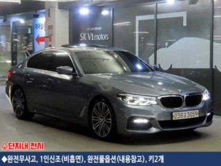 BMW 5시리즈 5시리즈 (G30) 530i M 스포츠 플러스