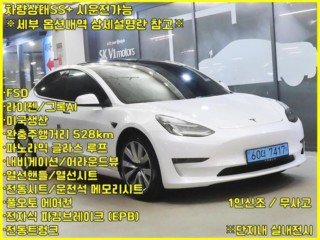 테슬라 모델 3 롱 레인지