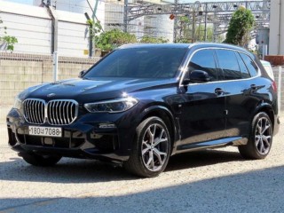BMW X5 X5 (G05) xDrive 45e M 스포츠