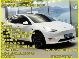 테슬라 모델 Y 롱 레인지