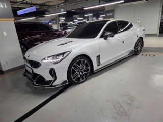 기아 스팅어 스팅어 마이스터 AWD 3.3 GT 마스터즈 터보 패키지