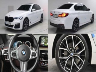 BMW 5시리즈 5시리즈 (G30) 530i M 스포츠 플러스