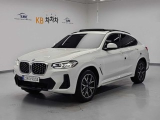 BMW X4 X4 (G02) xDrive 20i M 스포츠