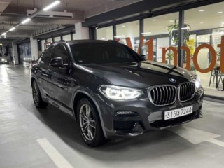BMW X4 X4 (G02) xDrive 20i M 스포츠 X