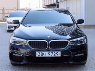 BMW 5시리즈 5시리즈 (G30) 530i 럭셔리 플러스