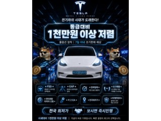 테슬라 모델 Y 롱 레인지