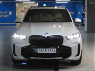 BMW X5 X5 (G05) xDrive 40i M 스포츠