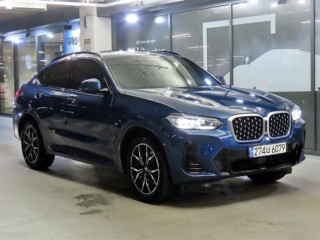 BMW X4 X4 (G02) xDrive 20i M 스포츠