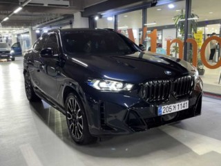 BMW X6 X6 (G06) xDrive 30d M 스포츠