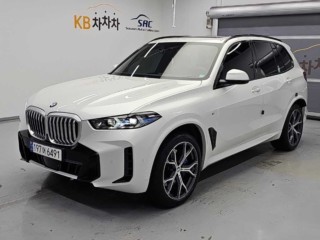 BMW X5 X5 (G05) xDrive 40i M 스포츠