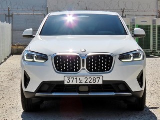 BMW X4 X4 (G02) xDrive 20i xLine