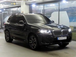 BMW X3 X3 (G01) xDrive 30e M 스포츠 기본형